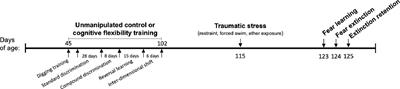 Cognitive Flexibility Training Improves Extinction Retention Memory and Enhances Cortical Dopamine With and Without Traumatic Stress Exposure